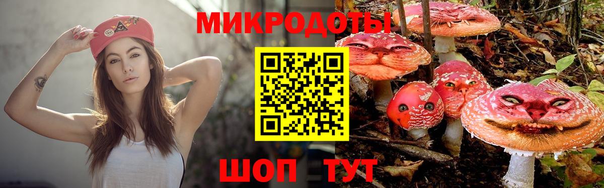 Галлюциногенные грибы GOLDEN TEACHER Тосно