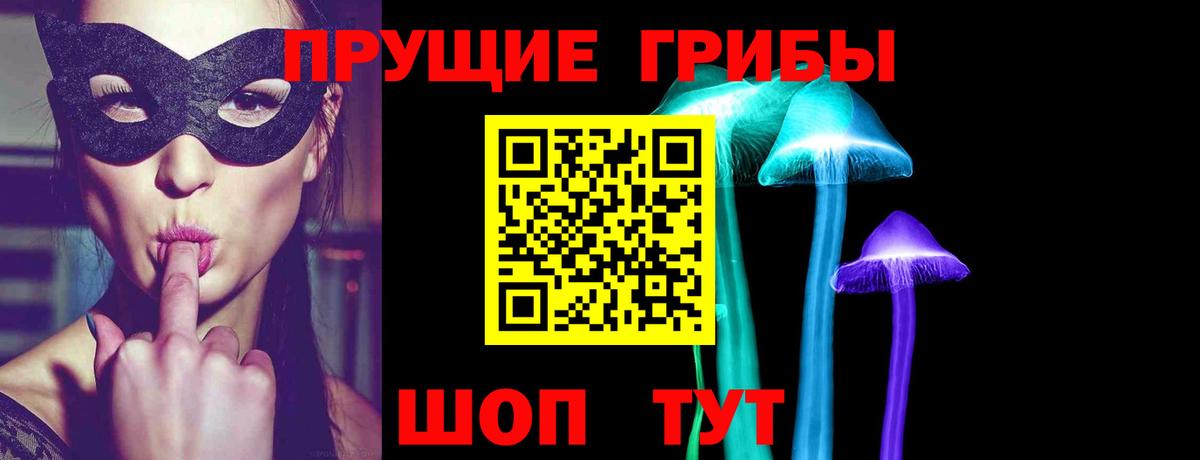 Галлюциногенные грибы Cubensis  Вход с VPN  сколько стоит  Тосно 